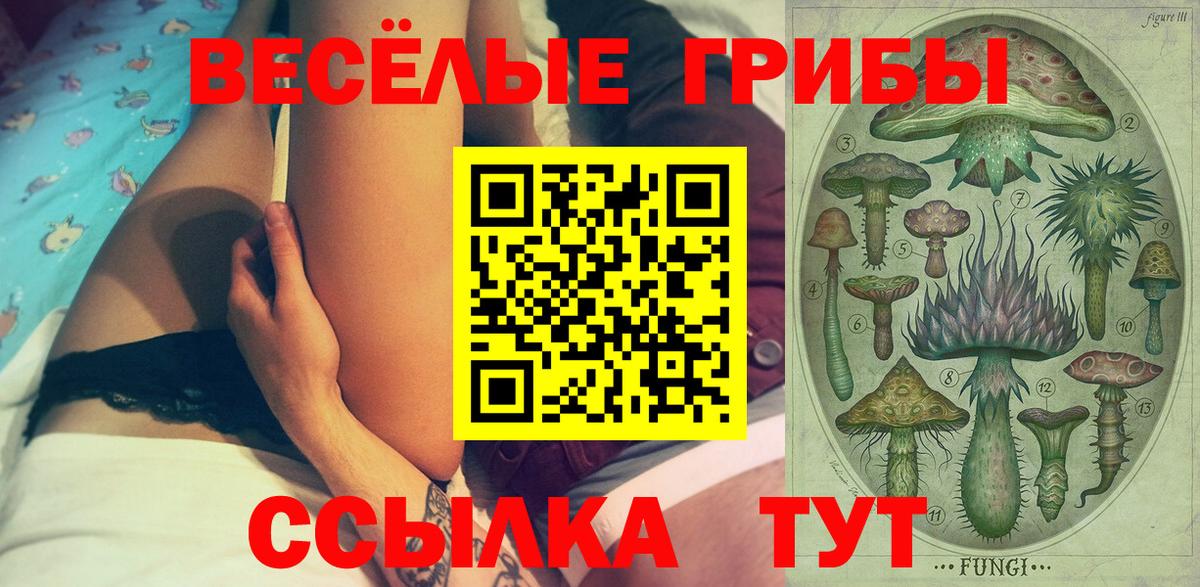 Балтийск  Псилоцибиновые грибы прущие грибы  продажа наркотиков  Вход с VPN 