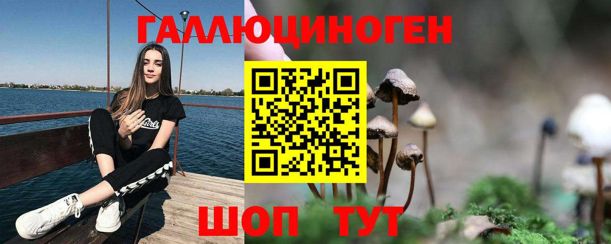 Галлюциногенные грибы Magic Shrooms Балтийск